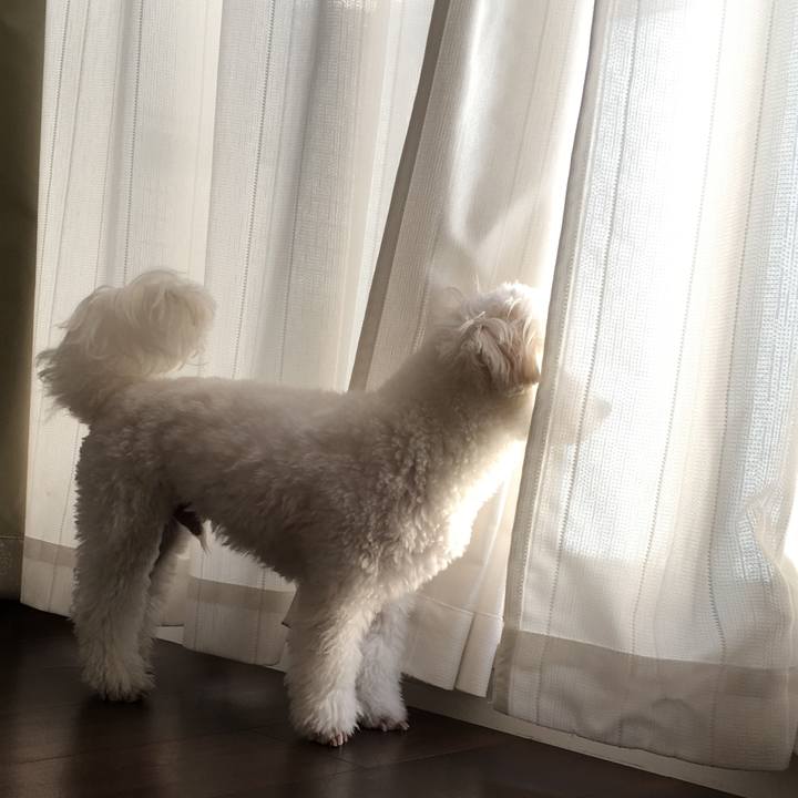 640cf6a7 c56e 442d 9401 6d564b3f86f1 1544741716036