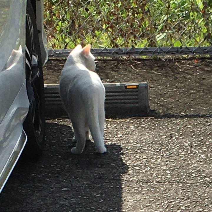 640d13de 04db 403f 9f08 1b7a0e485326 1633951586653