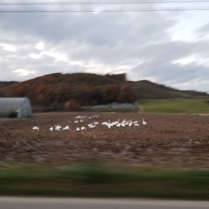 640d1749 4aad 4f5e bb5d 09b126ebcfc4 1603800081767