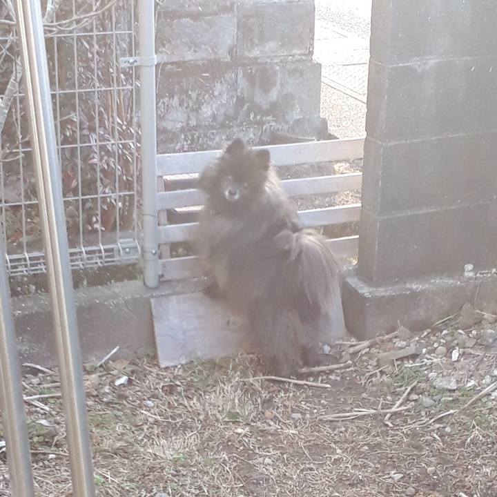 640d2806 8304 49d1 b100 b8ab1d871e67 1518735070158