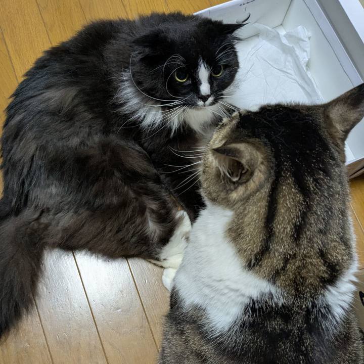 640d2841 a21e 430b 8f61 11b30b1fc864 1744407303275