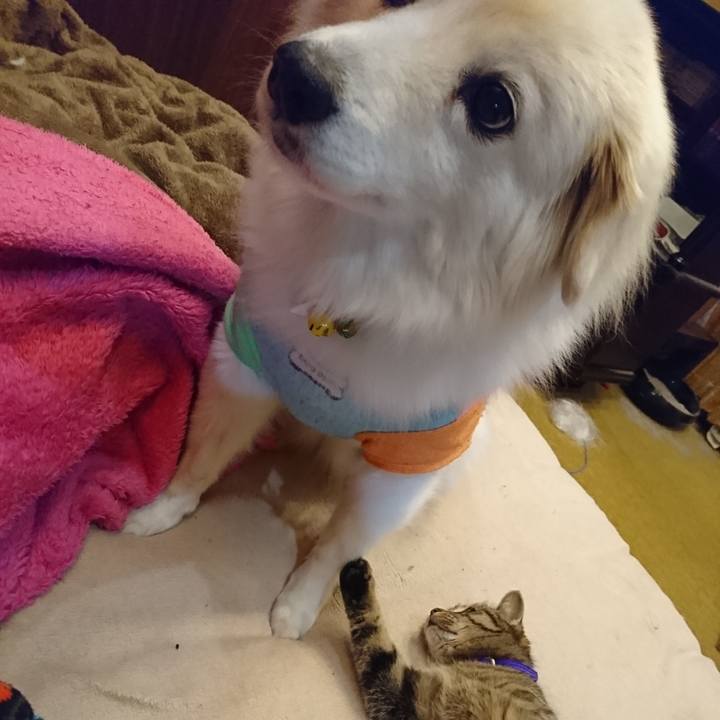 640d3dd1 4c34 45a6 8560 a38c4e0616be 1551906463377