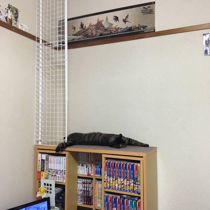 640d6fc7 a7df 408d 9de0 04027fc7075e 1560956394620