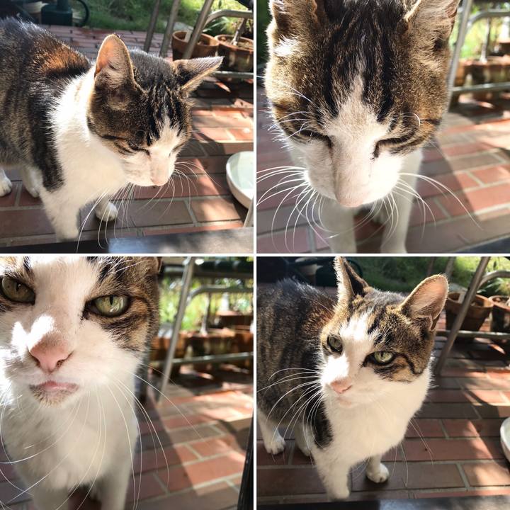 640d7788 5d3f 4efa 9d3a 50e1752dc913 1570682813895