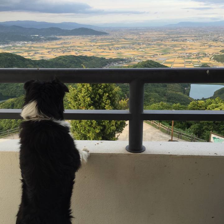 640d778b a297 45cb 9c49 6fc152f33bde 1526905204159