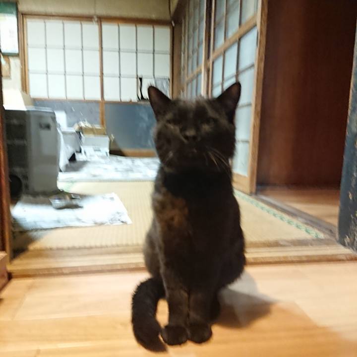 640d8329 71f7 4d36 9f97 8bca13f33b6b 1623062458187