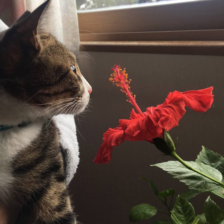 640de395 1ee3 461f 8445 4ba84fbb8e38 1705377117990