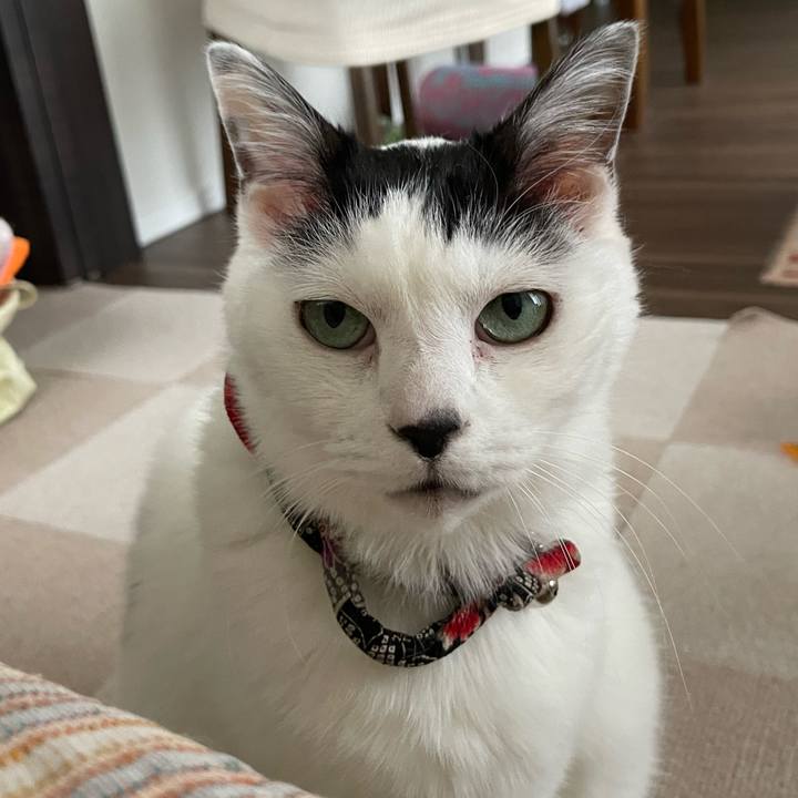 640e3895 3cab 4a70 8d81 c9265eb25aef 1743390299537