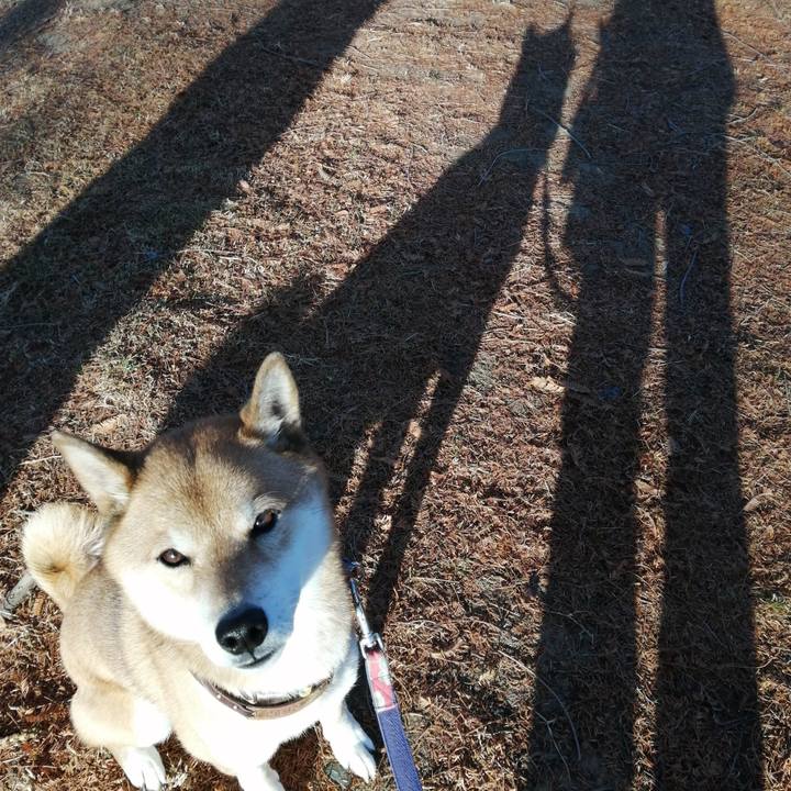 640e7892 3dd2 45ab a5e1 451ef0f3bf28 1607384680087