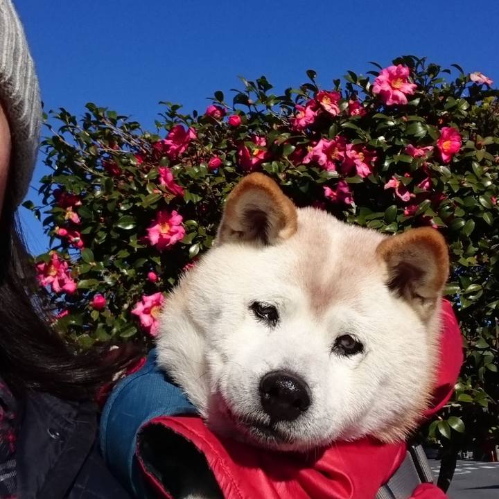 640ebb35 7fe4 4886 83f4 8e25bba559dc 1577843104515