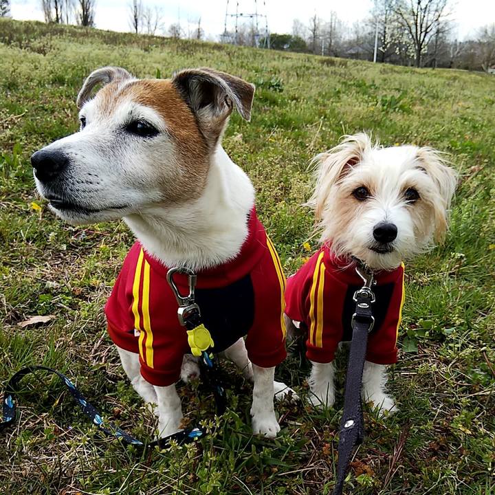 640eda65 d26f 47eb 9d93 45f3239c43be 1553413491917