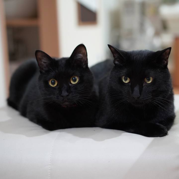 640efd6b a590 4506 8d9c c324d99e16f1 1621933815828