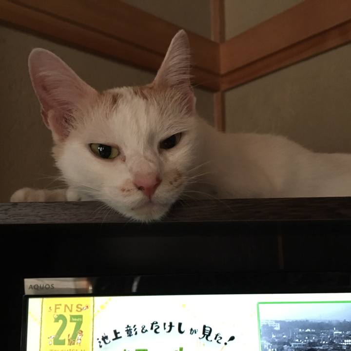 640f2f86 30d1 4d9c 8e24 ec1736d2af8a 1536453594854