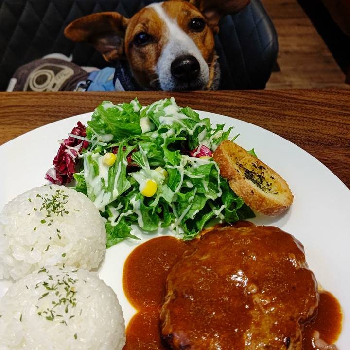 640f3036 fdff 4f02 abe5 ba26d1030aae 1675591613844