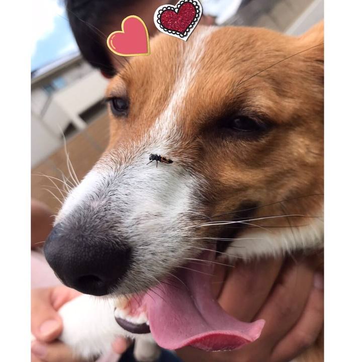 640f38fc 4c50 486d b412 dc01044c667b 1590209905362