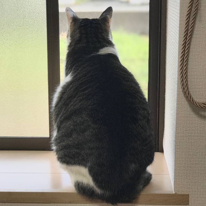 640f6fdc ea78 47ed 869f 5fe4f5d11932 1633606659275