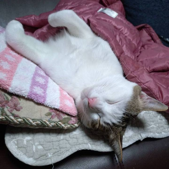 640fbae3 e533 494e 96c2 1f9e05f497f9 1717335131372