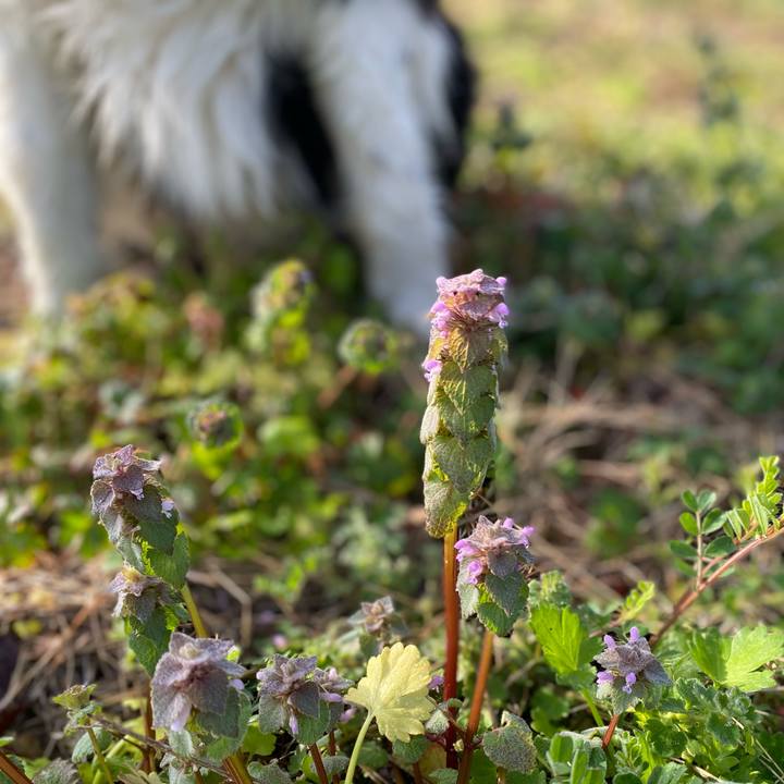 640fedc3 3c8a 42fc baa0 ede06c7292ff 1615942450751