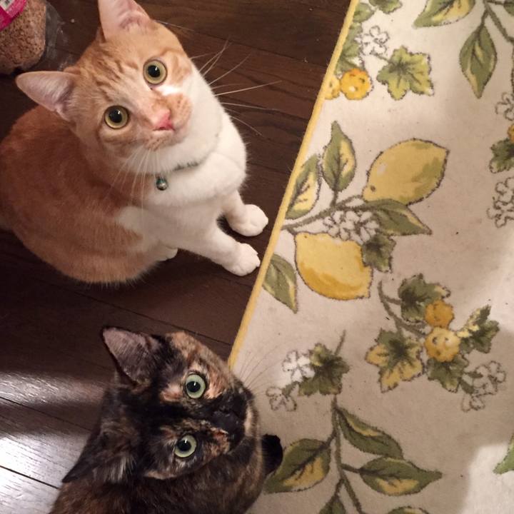 64104e12 9eef 4ab3 9478 f6483b97b06c 1630934738588