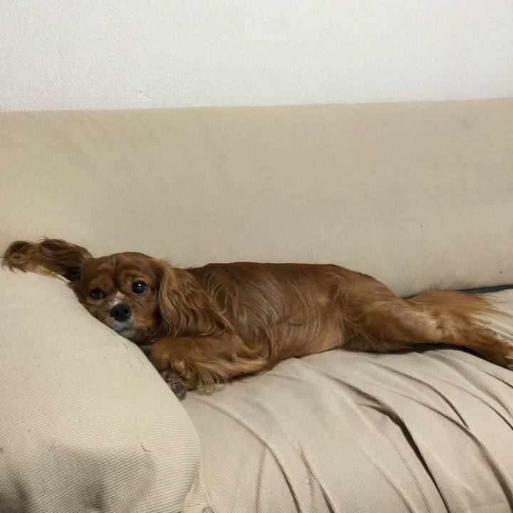 641055de f041 486b 9f57 2fdf0fe8157b 1599689821535