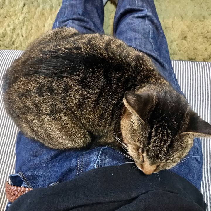 6410827c 8f90 41cc 8443 412911b28fd2 1606783824453