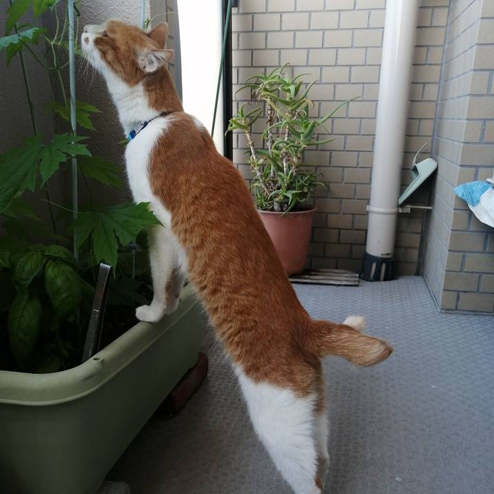 64108a04 2621 4583 b4ff 13528e185139 1654640660247