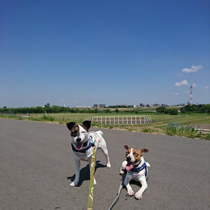 6410ae3f 7488 425a 9a5c 78fad4d07797 1527996757252