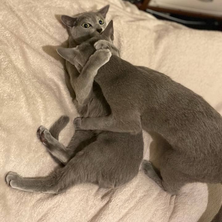 6410b84e 9851 4379 bad9 d0ea3f5ccf45 1636178795920