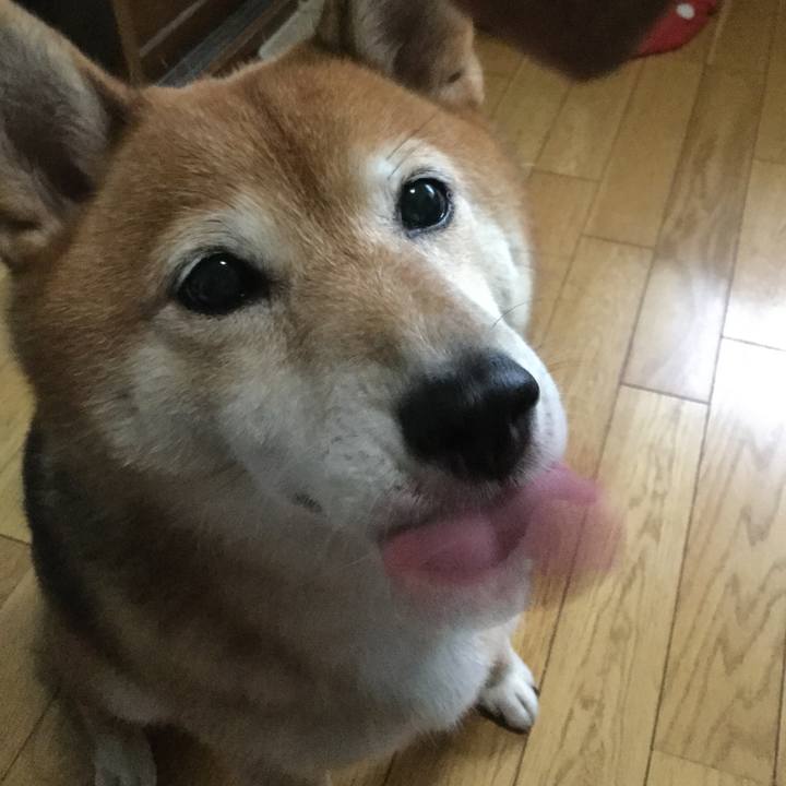 64113bd6 46ba 4e44 9314 440b3411a0ca 1596269499836