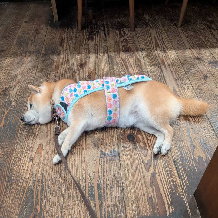 6411995c c8e4 4e77 897a de32d0501e67 1769769576840