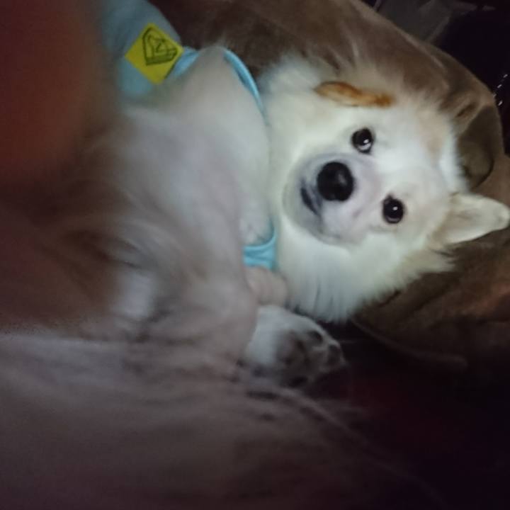 64119ce3 71f6 41f7 bd34 05ac33a85680 1510344116123