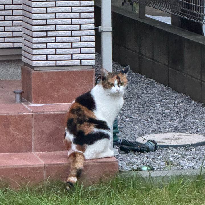 6411a088 0eed 4e01 ae3b f67113b8d002 1757645993972