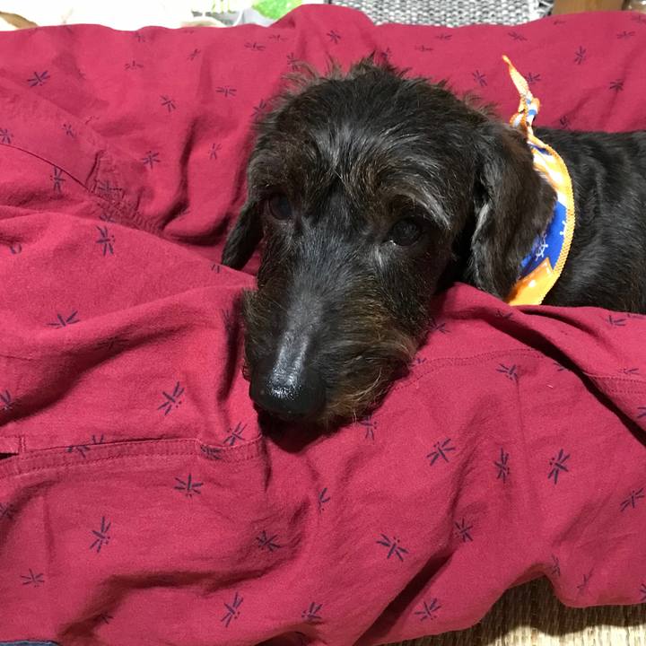 6411bc10 f86a 4b92 92db 4a12dfcd4a61 1533740739554