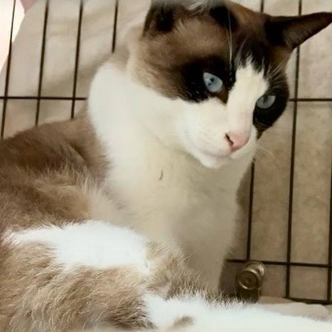 6411ead0 63a2 4336 9876 4dd9a8bd3268 1749029678302