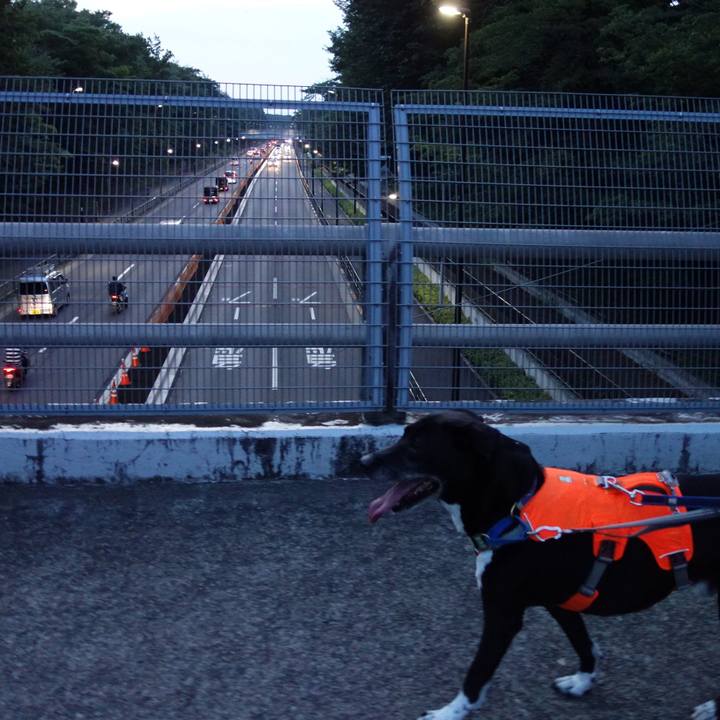 6411f752 6cb5 43df 8d76 4c7f6456bce9 1720446094705