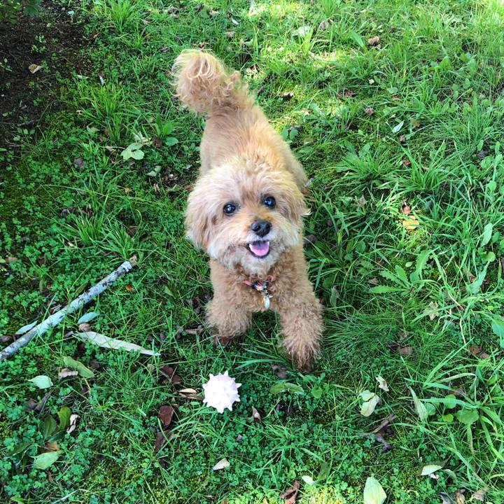 641219c1 6d50 4497 b403 beec386b48c5 1538481418505