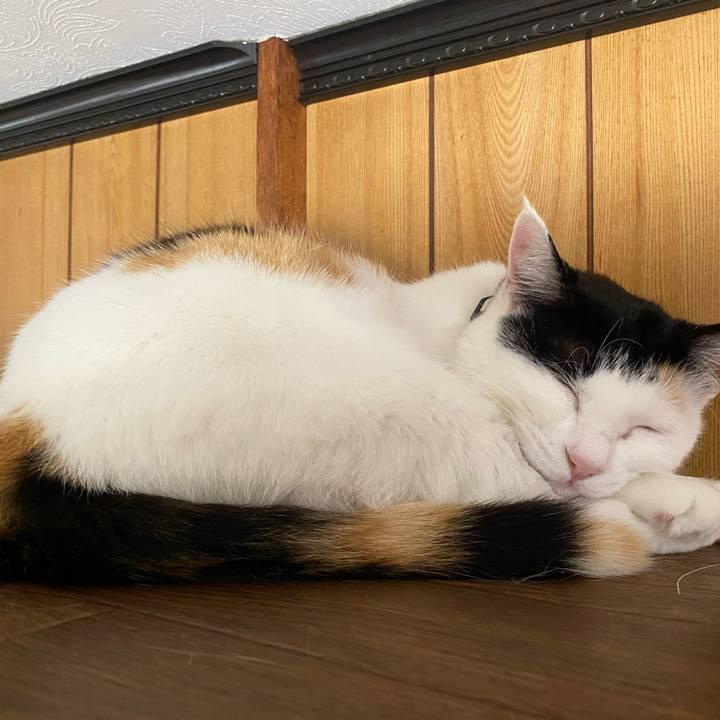 64121d70 c6cf 499b 8ec9 ba35a4911108 1649685554254