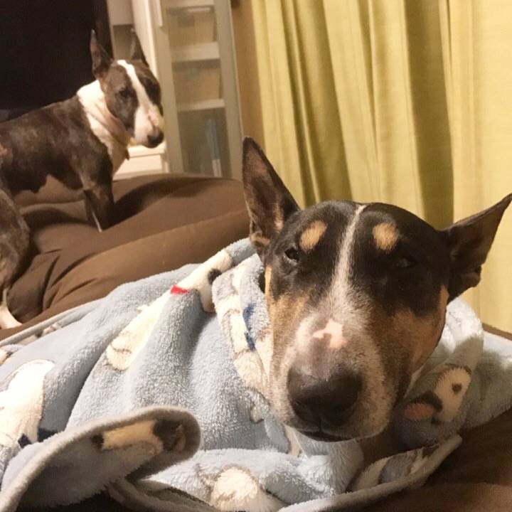 64121edb b794 4834 86aa 999cd8069d0f 1508322718573