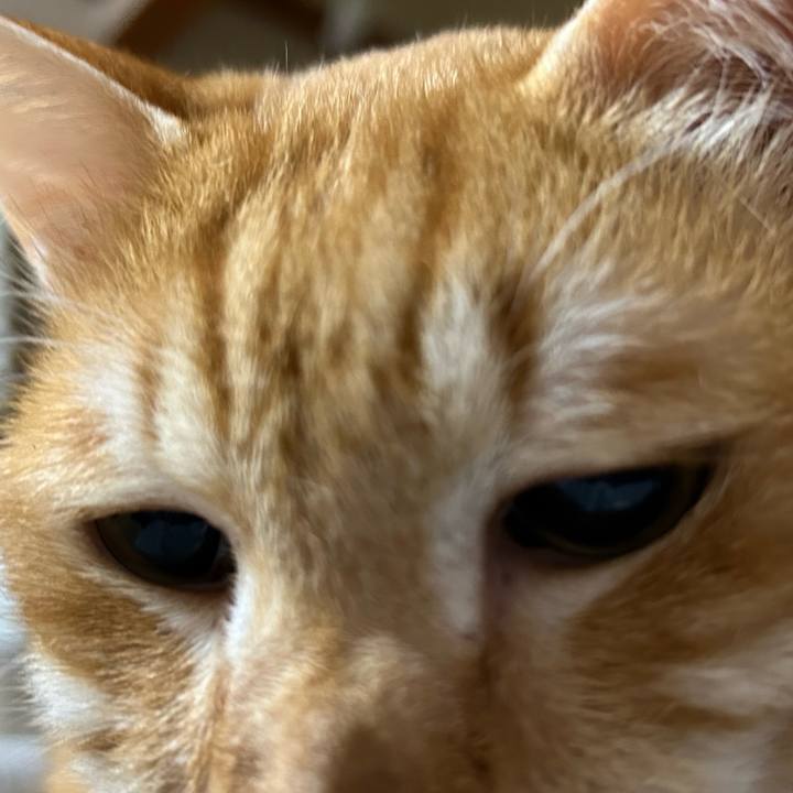 6412454a 9630 4f51 a515 84b775689451 1676984627403