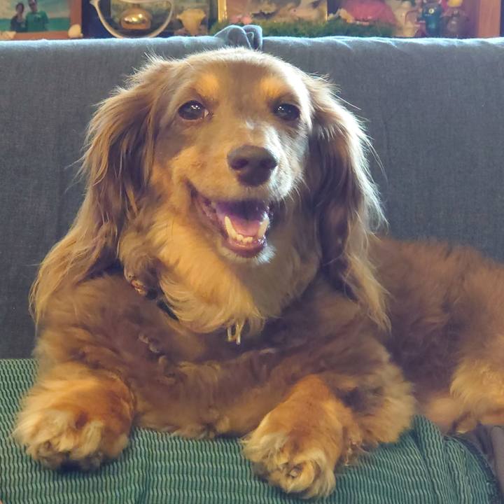 64124cee 4a8b 4317 ab35 9427a005ad6c 1690588992614