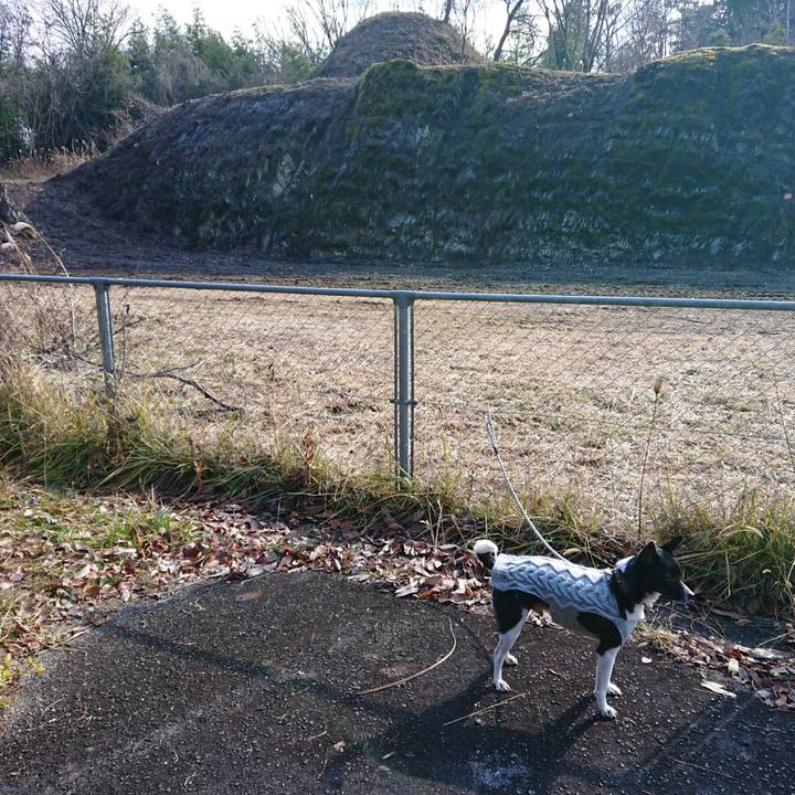 64126bc9 f38d 4575 bfa5 77501a28a8cb 1548042748288