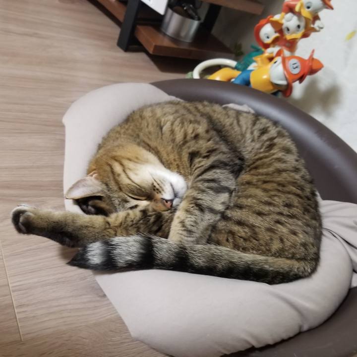 64129b85 b2c4 4cc4 909f afabe806f21f 1619350709531