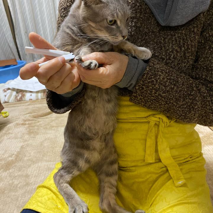 6412fee9 c4c1 4d70 a05d 067501f6d5f3 1575556014579