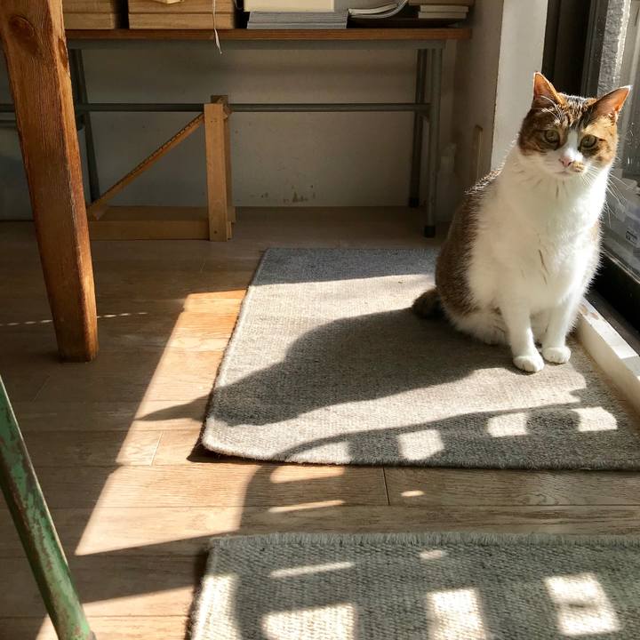 64134625 5ddd 4b02 a00f 1ada859f614d 1550630056198