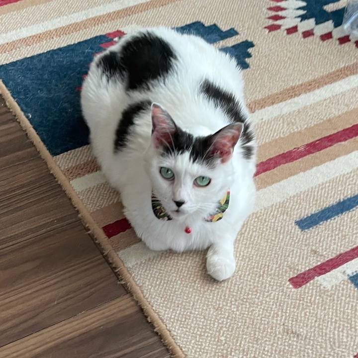 6413709b 20cb 4d7c a42f 6a76e8dfbc12 1628154106345