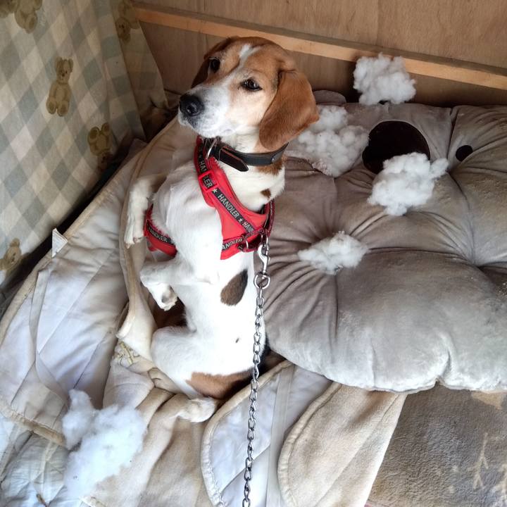 64137b3d 8795 485f 9ec3 25fbb245e8ad 1706097700310