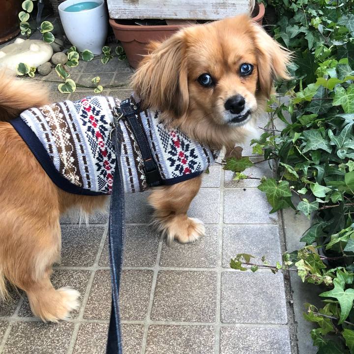 64138300 7704 4804 a587 7afeac76e4e3 1517096136462