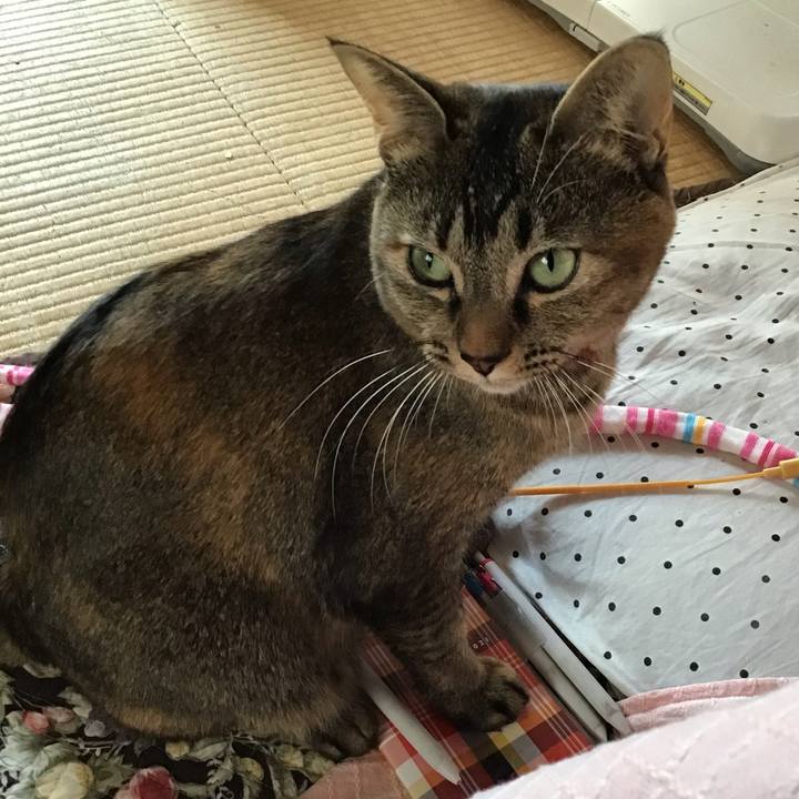 6413b236 bca3 47b3 945a 8388dc7f60c0 1636852069618