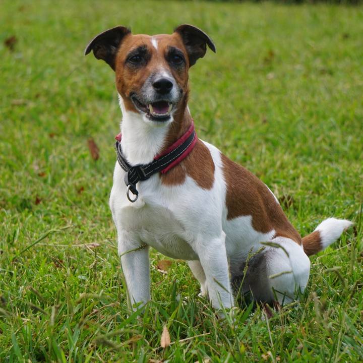 6413c1ca ee03 4a1f bd18 cf9c5999e84d 1538522175704