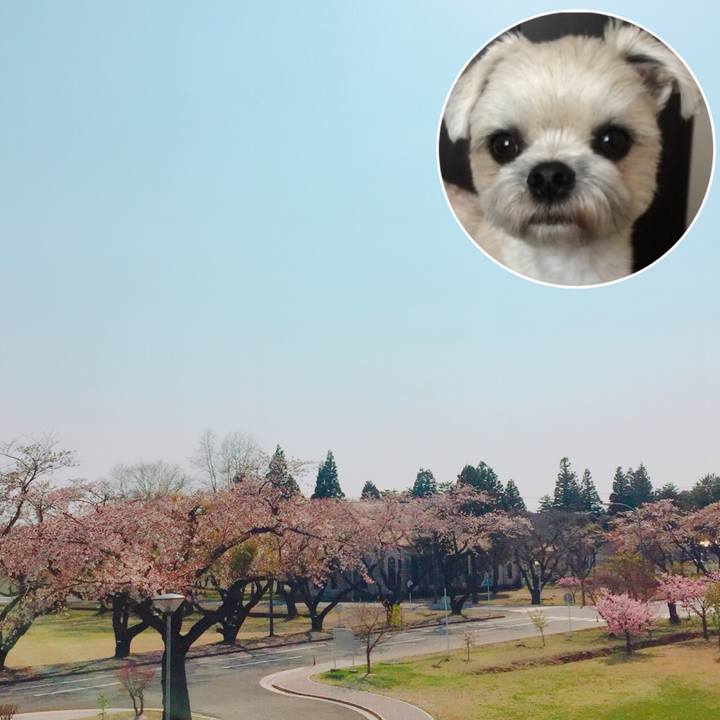 6413f1ee 9104 435b 89a9 166818a48546 1524729062899